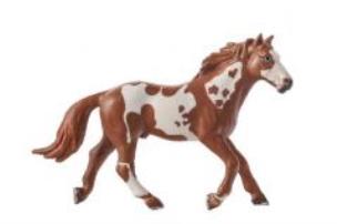 Opakowanie Koń Pinto