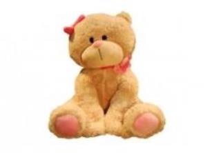 Opakowanie Kot Cuties 25 cm