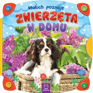 Okładka książki Maluch poznaje zwierzęta w domu