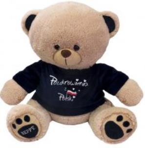 Opakowanie Miś w koszulce ''Pozdrowienia z Polski'' 28 cm