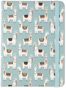 Opakowanie Notatnik midi Lamy