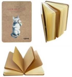 Opakowanie Notes 128k A6 Kot i lód