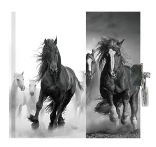 Opakowanie Pamiętnik z kłódką