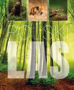 Polski Las / SBM. Autor: Kapusta Joanna, Kapusta Piotr. Multiszop.pl Okładka książki Polski Las / SBM