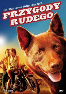 Przygody Rudego. Autor: Kriv Stenders. Multiszop.pl Okładka książki Przygody Rudego