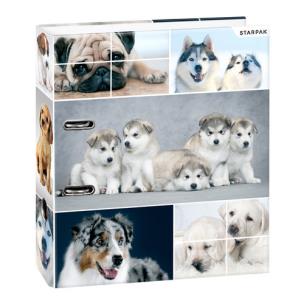 Opakowanie Segregator A4/70 psy 391674