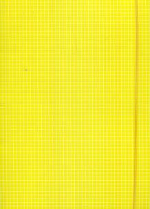 Opakowanie Teczka z gumką A4 żółta w kratę