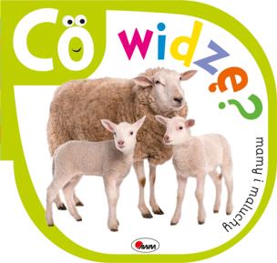 Okładka książki Co widzę Mamy i maluchy