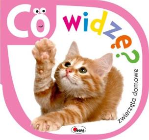 Okładka książki Co widzę Zwierzęta domowe