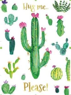 Opakowanie Karnet B6 Kaktusy