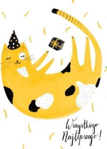 Opakowanie Karnet B6 Kot