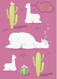 Opakowanie Karnet B6 Lama