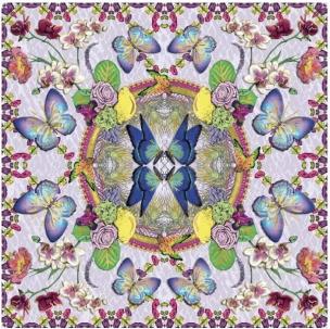 Opakowanie Karnet kwadrat z kopertą DNA Butterflies