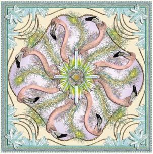 Opakowanie Karnet kwadrat z kopertą DNA Flamingos