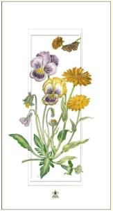 Opakowanie Karnet kwiaty polne 12x23 + koperta