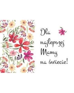 Opakowanie Magnes - Dla najlepszej mamy