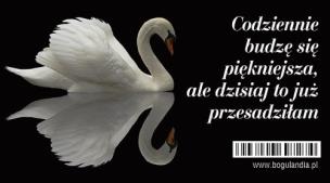 Opakowanie Magnes na lodówkę Codziennie budzę się piękniejsza