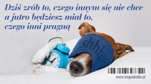 Opakowanie Magnes na lodówkę Dziś zrób to, czego innym...