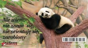 Opakowanie Magnes na lodówkę Nie wiem, nie znam się