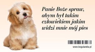 Opakowanie Magnes na lodówkę Panie Boże spraw, abym był takim