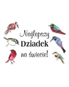 Opakowanie Magnes - Najlepszy Dziadek