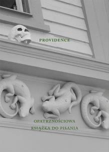 Okładka książki Providence