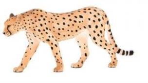 Opakowanie Samiec Geparda ANIMAL PLANET