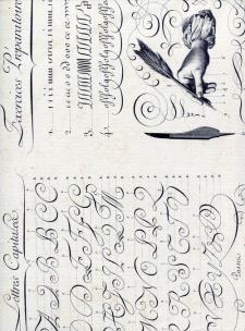 Opakowanie Teczka na dokumenty A4 FF 536A