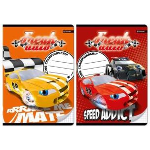 Opakowanie Zeszyt A5 w kretkę 16 kartek Freak Auro 10 sztuk mix