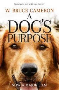 A Dog's Purpose. Autor: W. Bruce Cameron. Multiszop.pl Okładka książki A Dog's Purpose