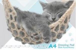 Opakowanie Blok rysunkowy A4/20k biały Kotki Starpak