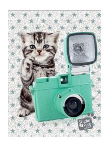 Opakowanie Błyszczący pamiętnik Studio Pets