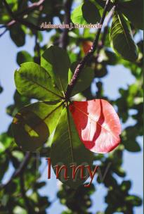 Okładka książki Inny