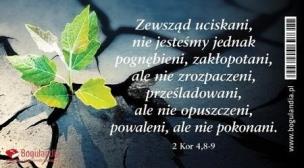 Opakowanie Magnes na lodówkę Zewsząd uciskani nie jesteśmy..