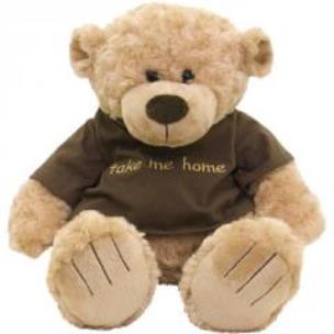 Opakowanie Miś Take Me Home 38 cm