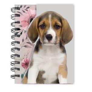 Opakowanie Notes na spirali A6 18-3630PS