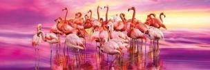 Opakowanie Puzzle 1000 Panorama Flamingo