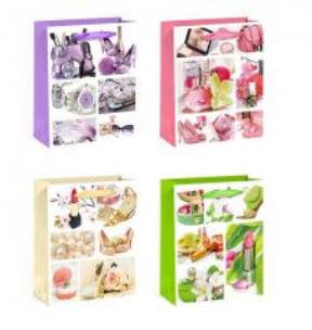 Opakowanie Torebka upominkowa  KR 851 S