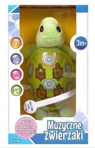 Opakowanie Zabawka Muzycznka - Żołwik