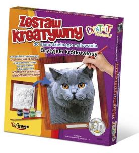 Okładka książki Zestaw Kreatywny do malowania - Brytyjski krótkowł