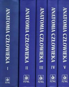 Opakowanie Anatomia człowieka 1-5
