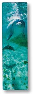 Opakowanie IF National Gegraphic Zakładka 3D Delfin