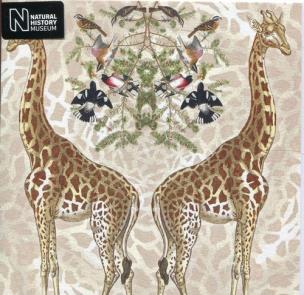 Opakowanie Karnet kwadrat z kopertą Giraffe