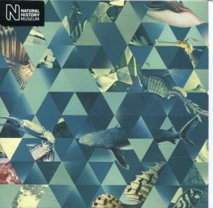 Opakowanie Karnet kwadrat z kopertą Sealife