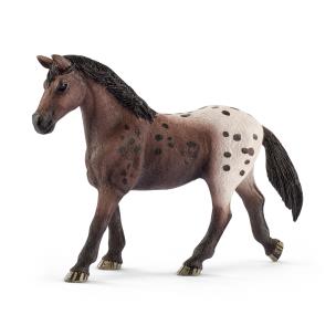 Opakowanie Klacz rasy appaloosa