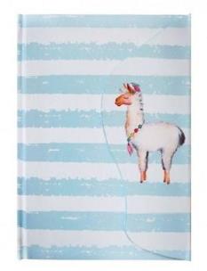 Opakowanie Notes A5/80K Lama