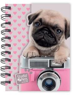 Opakowanie Notes na spirali A6 Studio Pets
