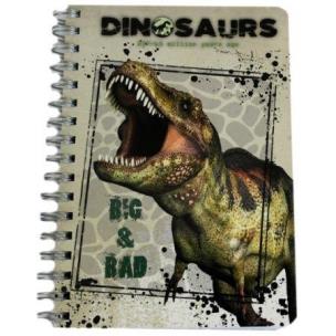 Opakowanie Notes spiralny A6 Dinozaur (10szt) DERFORM
