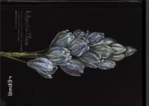 Opakowanie Notes szkicownik A6 Hiacynt