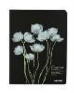 Opakowanie Notes szkicownik A6 Krokus